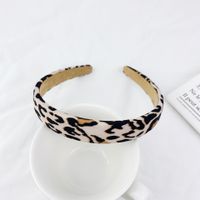 Leopard Print Retro Striped Headband sku image 4
