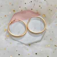 New Exaggerated  Classic Fashion Metal Hoop Earrings main image 1