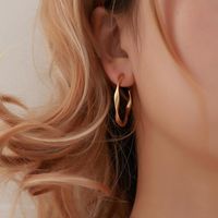 Simple Geometric Twisted Earrings Retro Matte Hoop Earrings main image 1