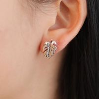 Earrings Turtle Shell Earrings Alloy Plating Gold Gold Silver Tree Leaf Ear Studs Feather Ear Studs main image 1