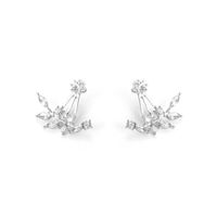 Vente Chaude En Europe Et En Amérique Boucles D'oreilles Diamant En Cristal En Forme De Feuille Boucle D'oreille Branche Suspension Arrière Zircon Boucles D'oreilles Feuilles Oreille Goujons Femmes main image 6