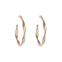Simple Geometric Twisted Earrings Retro Matte Hoop Earrings sku image 1