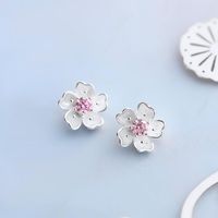 S925 Sterling Silver Earrings Cherry Blossom Earrings main image 4