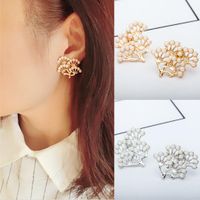 New Style Pine Earrings Twig Earrings Gold-plated Silver Inlaid Small Pearl Earrings Leaf Earrings main image 4