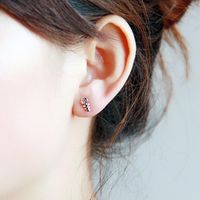 Simple Cute Kitty Ear Studs Alloy Plating Gold Silver Animal Kitten Fish Stud Ear Studs Wholesale main image 5