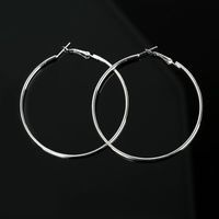 New Simple Geometric Circle Earrings Hypoallergenic Stainless Steel O-ring Hoop Earrings Wholesale sku image 1