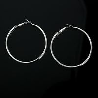 New Simple Geometric Circle Earrings Hypoallergenic Stainless Steel O-ring Hoop Earrings Wholesale sku image 2