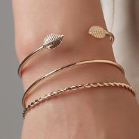 Fashion Twist Leaf Bangle Bracelet Geometry Open Bangle Wholesale main image 1