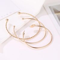 Fashion Twist Leaf Bangle Bracelet Geometry Open Bangle Wholesale main image 5