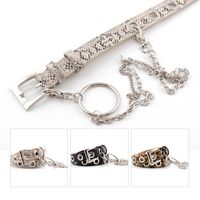 Fashion Rock Ring Chain Air Eye Belt Women Punk Style Leopard Snake Snake Eyelet Pants Belt Wholesale main image 3