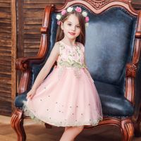 Children's Wedding Dress Princess Skirt Girl Host Catwalk Dress Summer Embroidered Sleeveless Dress main image 1