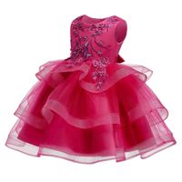 New Children's Dress Princess Dress Flower Girl Wedding Dress Tutu Skirt Girl Show Costume main image 3