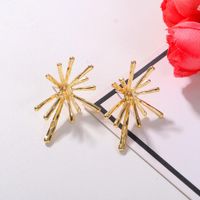New Simple Personality Exaggerated Creative Needle Alloy Earrings For Women main image 1