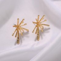 New Simple Personality Exaggerated Creative Needle Alloy Earrings For Women main image 5