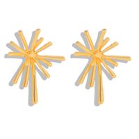 New Simple Personality Exaggerated Creative Needle Alloy Earrings For Women sku image 1