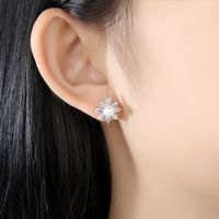 Earring Fashion Korean Sweet Lady Pearl Earrings Copper Zircon Earrings Wholesale main image 3