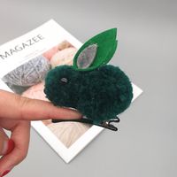 Versión Coreana De La Linda Pinza De Pelo De Oreja De Conejo De Peluche Pequeño Y Tridimensional Lindo Anillo De Pelo De Otoño E Invierno Cuerda De Cabeza Femenina Accesorios Para El Cabello Infantil sku image 12