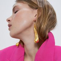 Fashion Earrings For Women Alloy Earrings Texture Twist Earrings main image 1