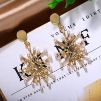 Japan Und Südkorea Übertriebene Kreative Metallische Perlen Ohrringe Frauen Grenz Überschreiten Der Heißer Verkauf Neue Trend Ige Mode Temperament Unregelmäßige Ohrringe main image 3