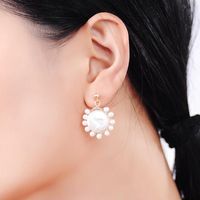 Korea 925 Sterling Silver Earrings Geometric Niche Earrings Fashion Shell Pearl Earrings main image 3