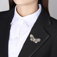 Fashionable Korean Creative New Copper Inlaid Zirconium Ladies Brooch Butterfly Clothing Accessories Pin main image 3