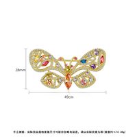 Fashionable Korean Creative New Copper Inlaid Zirconium Ladies Brooch Butterfly Clothing Accessories Pin main image 6