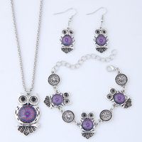 Fashion Metal Wild Vintage Owl Collar Pulsera Pendiente Set main image 1