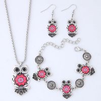 Fashion Metal Wild Vintage Owl Collar Pulsera Pendiente Set main image 4