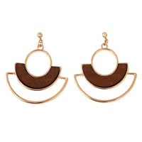 New Alloy Creative Earrings For Women Geometric Jewelry main image 6