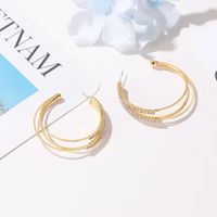 Korean Fashion Wild Earrings Female Design Multilayer Earrings C-type Earrings Wholesale main image 4
