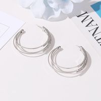 Korean Fashion Wild Earrings Female Design Multilayer Earrings C-type Earrings Wholesale main image 5