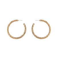 New Popular Matte Hoop Earrings S925 Silver Needle Carved Earrings Wholesale main image 6
