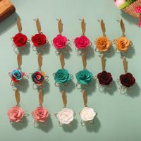 Exquisite Hollow Fabric Flower Earrings Female Korean Fashion New Alloy Pentagram Earrings Female main image 5