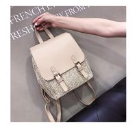 Straw Backpack Summer New Women&#39;s Bag Leisure College Style Small Backpack Korean Retro Vacation Beach Bag sku image 1