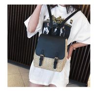 Straw Backpack Summer New Women&#39;s Bag Leisure College Style Small Backpack Korean Retro Vacation Beach Bag sku image 3