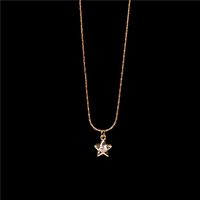 Simple Big Zircon Necklace Super Flashing Pentagram Star Pendant Clavicle Chain Women's Necklace main image 3