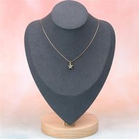 Simple Big Zircon Necklace Super Flashing Pentagram Star Pendant Clavicle Chain Women's Necklace main image 4