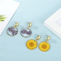 Jewelry Dried Flower Earrings Resin Earrings Eternal Flower Earrings Epoxy Chrysanthemum Earrings main image 3