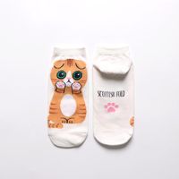 Women&#39;s Cotton Socks Wholesale Cute Cartoon Cat Female Boat Socks Fashion Wild Short Socks main image 3
