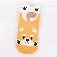 New Socks Wholesale Korean Fashion Female Cotton Socks Cartoon Cute Socks Boat Socks sku image 5