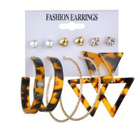 New Fashion Creative Triangle Geometric Leopard Earring Set Wholesale Yiwu Nihaojewelry Wholesale main image 1