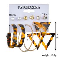 New Fashion Creative Triangle Geometric Leopard Earring Set Wholesale Yiwu Nihaojewelry Wholesale main image 5