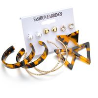 New Fashion Creative Triangle Geometric Leopard Earring Set Wholesale Yiwu Nihaojewelry Wholesale main image 6