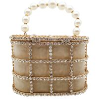 Fgg Totes Sac Européen Et Américain Sac En Métal De Femmes Seau Sac Perle Diamant Fourre-tout Pull-ceinture De Porcs De La Chaîne Cage Sac main image 6