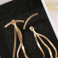 New Fashion Alloy Tassel Earrings Pendant Creative Simple Snake Bone Tassel Metal Long Earrings For Women Wholesale main image 4