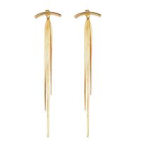 New Fashion Alloy Tassel Earrings Pendant Creative Simple Snake Bone Tassel Metal Long Earrings For Women Wholesale main image 6