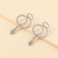 New Retro Fashion Snake-shaped Earrings Texture Silver Diamond Curved Earrings For Women Wholesale sku image 5