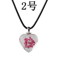 New Love Flower Pendant Necklace Heart Shaped Glass Dried Flower Colorful Specimen Acrylic Pendant Necklace sku image 2