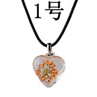 New Love Flower Pendant Necklace Heart Shaped Glass Dried Flower Colorful Specimen Acrylic Pendant Necklace sku image 1