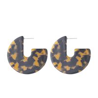 New Fashion Acetate Plate Creative Geometric Pentagram Leopard Earrings Wholesale sku image 3